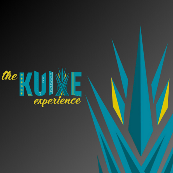 Kuixe Experience 日本事業部 Kuixe Japan/メキシコ